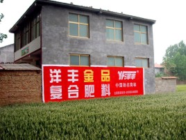 芜湖如何让墙体广告展现最大化效果